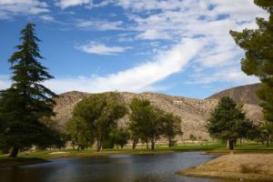 Back to the Basics Fun-Yucca Valley